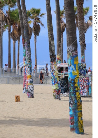 ベニスビーチ 17743959