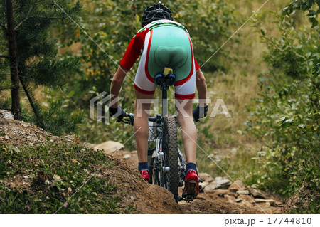 mountainbike downhill 17744810