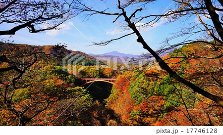 紅葉 17746128