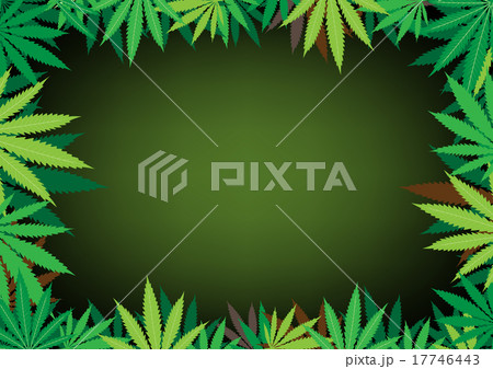 hemp dark background 17746443