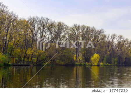 Landscape with Lake and Multicolored Trees Landscape with Lake and Multicolored Trees 17747239