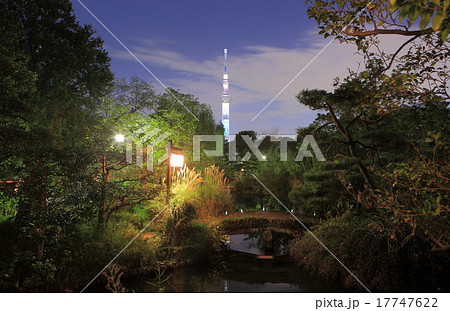 向島百花園とスカイツリー 向島百花園とスカイツリー 17747622