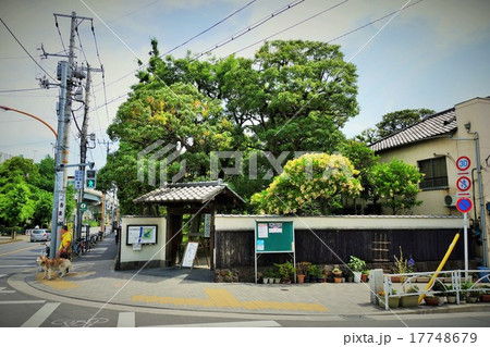 旧安田庭園 17748679