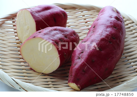 金時芋 金時芋 17748850