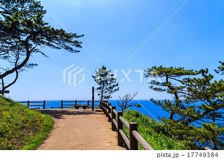 能登半島　ヤセの断崖 17749384