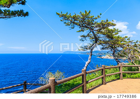 能登半島　ヤセの断崖 17749386