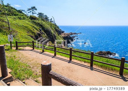 能登半島 ヤセの断崖 能登半島 ヤセの断崖 17749389
