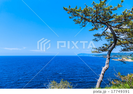 能登半島 ヤセの断崖 能登半島 ヤセの断崖 17749391