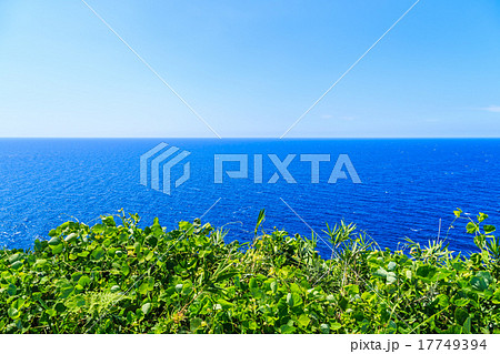 能登半島　ヤセの断崖 17749394