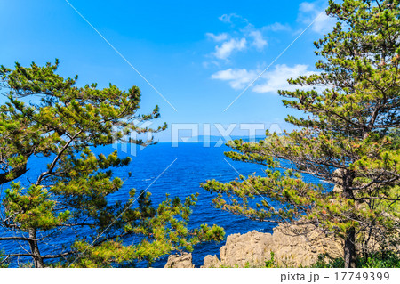 能登半島　ヤセの断崖 17749399