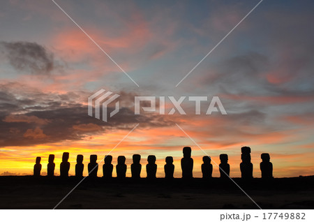 アフ・トンガリキ 17749882