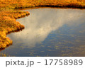 夕暮れの八島湿原 17758989