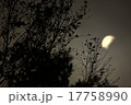 中秋の夕暮れ 17758990