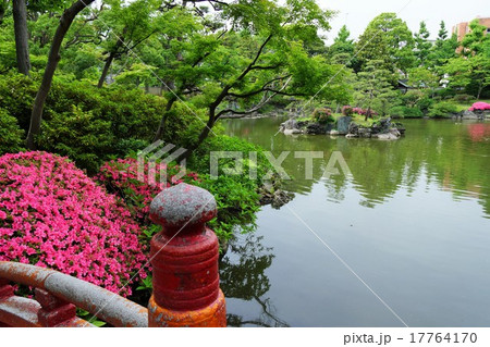 旧安田庭園内 17764170