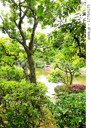 旧安田庭園内 17764175