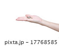 手にコイン 17768585