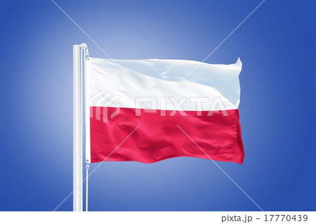 Flag of Poland flying against a blue sky Flag of Poland flying against a blue sky 17770439