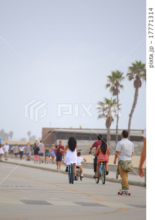 ベニスビーチの風景 17771314