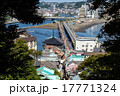 江ノ島　弁天橋（俯瞰） 17771324