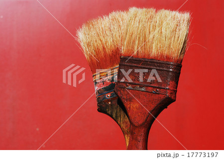 dirty paintbrushes 17773197