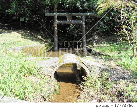 椎井池　愛完神社 17773766
