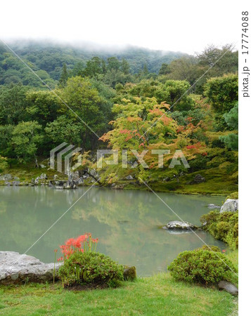 天龍寺-曹源池庭園-初秋01 天龍寺-曹源池庭園-初秋01 17774088