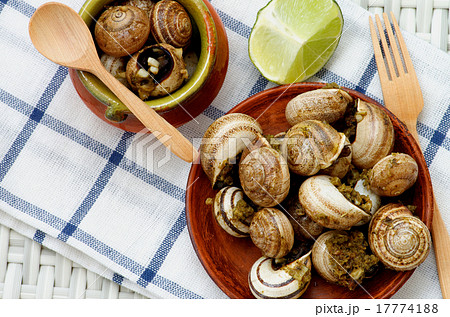 Snails with Garlic Butter 17774188