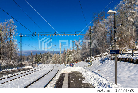 Zurich S-Bahn on Uetliberg mountain - Switzerland 17774730