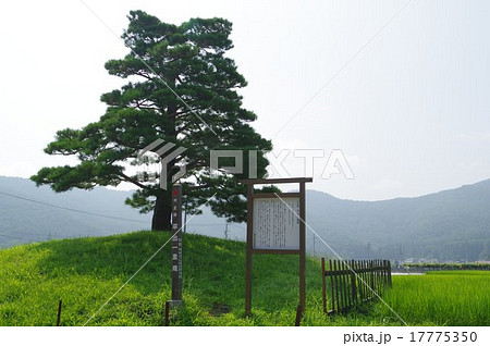 中山道 平出一里塚 長野県の史跡 (長野県塩尻市平出)南側 中山道 平出一里塚 長野県の史跡 (長野県塩尻市平出)南側 17775350