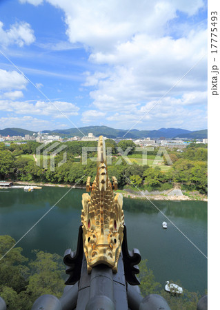 岡山城天守閣の金のシャチホコと後楽園 17775493