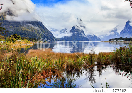 milford sound in fjord land national park  17775624