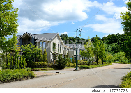 みどりの住宅街　 17775728