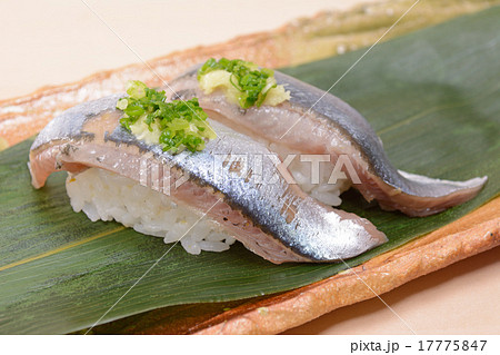 おいしいサンマ握り 17775847
