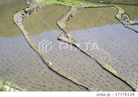 島根大井谷の棚田の風景 17776138