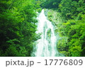 滝 17776809