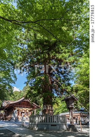 諏訪大社下社　秋宮 17776815