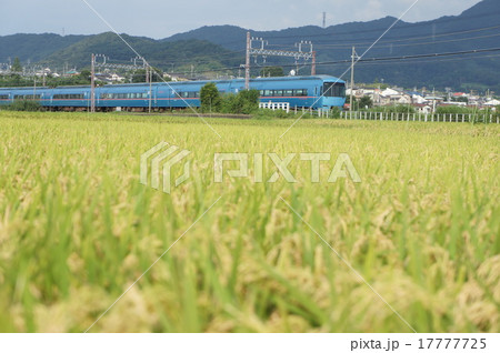 田園を疾走 17777725