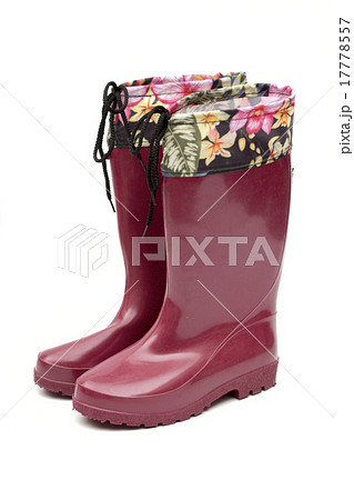 rubber boots on the white background rubber boots on the white background 17778557
