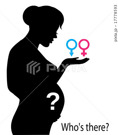 The sex of the child 17778593