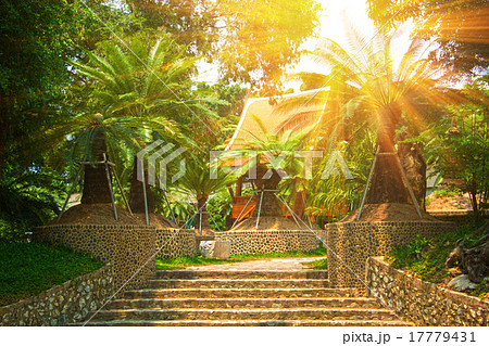 bower in tropical park 17779431