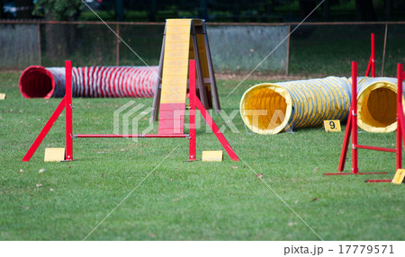 Agility Equipment Agility Equipment 17779571