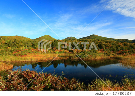 八甲田　紅葉の睡蓮沼 17780237