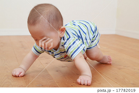 6か月の可愛い男の赤ちゃんの写真素材