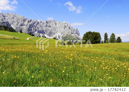 オドレ・ディ・エオレス　odle　di　eores　　　　tullen 17782412