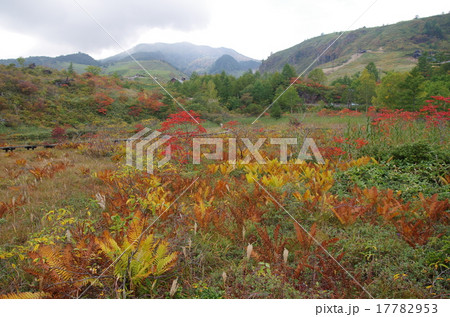 草津白根山の紅葉 武具脱の池 モノヌグノイケ の写真素材