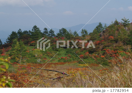 草津白根山の紅葉 武具脱の池 モノヌグノイケ の写真素材