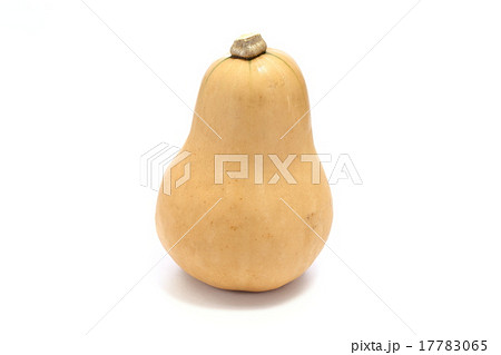 バターナッツ バターナッツ 17783065