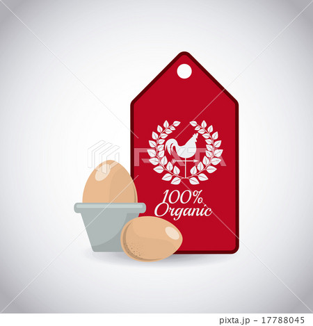 fresh eggs 17788045