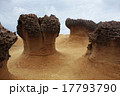 台湾　野柳地質公園  17793790