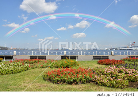 横浜の山下公園と虹 17794941